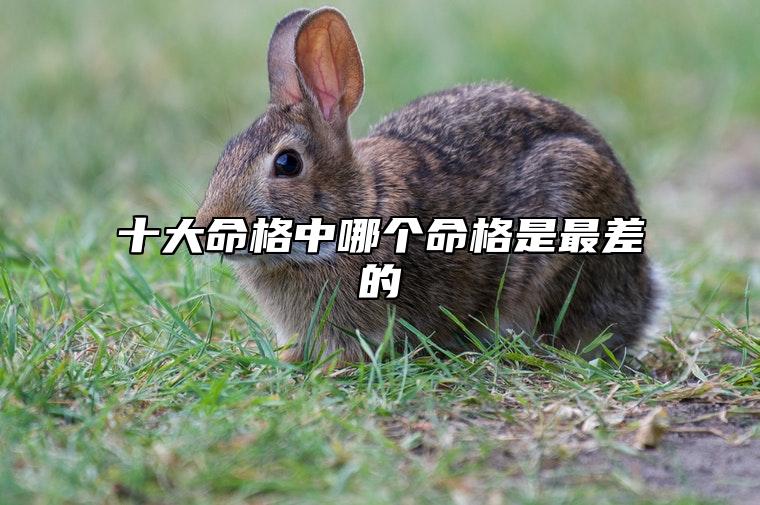 十大命格中哪个命格是最差的 比肩格男命好不好