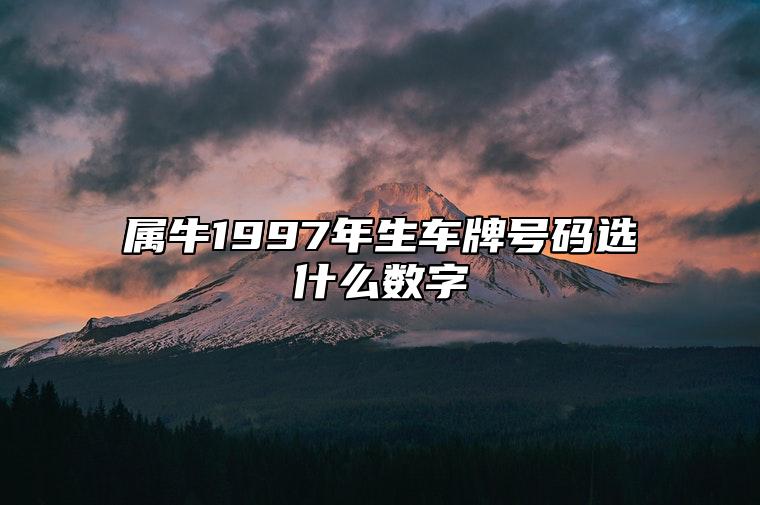 属牛1997年生车牌号码选什么数字 车牌号码尾数7最好吗