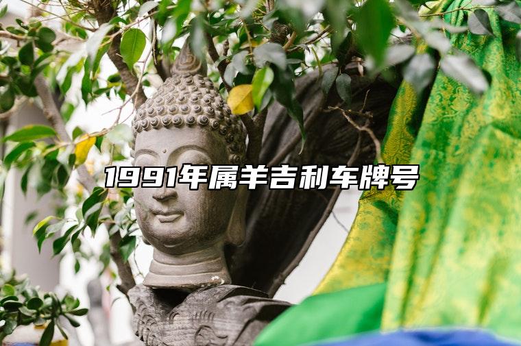 1991年属羊吉利车牌号 怎样查车牌号吉利吗