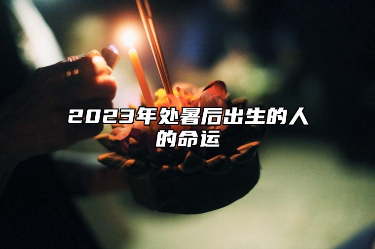 2023年处暑后出生的人的命运 拥有丰富的创造力