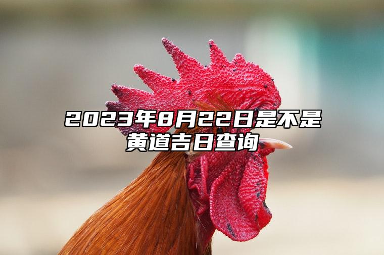 2023年8月22日是不是黄道吉日查询,今日几点是吉时日子好吗