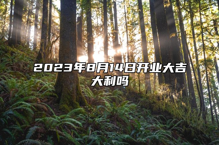 2023年8月14日开业大吉大利吗 宜开业吗