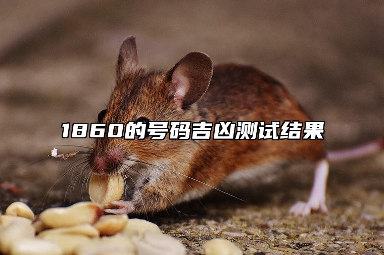 1860的号码吉凶测试结果 手机号码好运盘点
