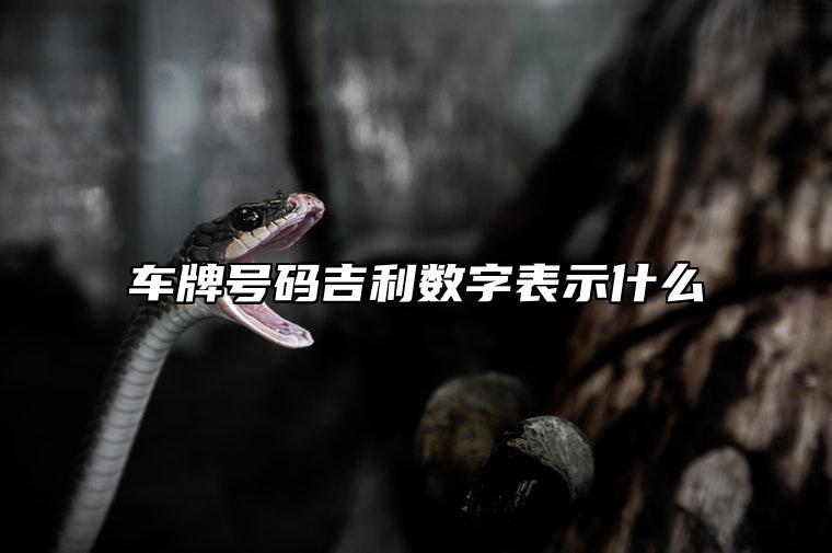 车牌号码吉利数字表示什么 如何挑选好运车牌号码