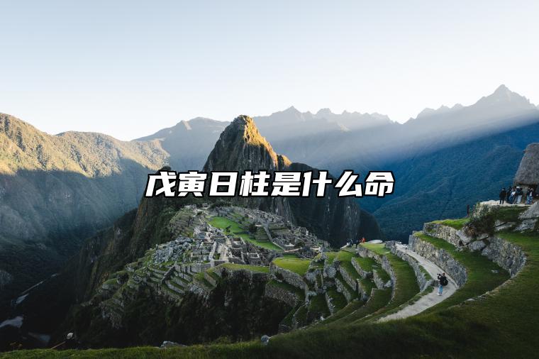 戊寅日柱是什么命 戊寅日柱是身强还是身弱