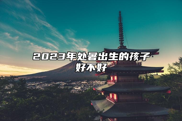 2023年处暑出生的孩子好不好 有较强的执着精神和求知欲望