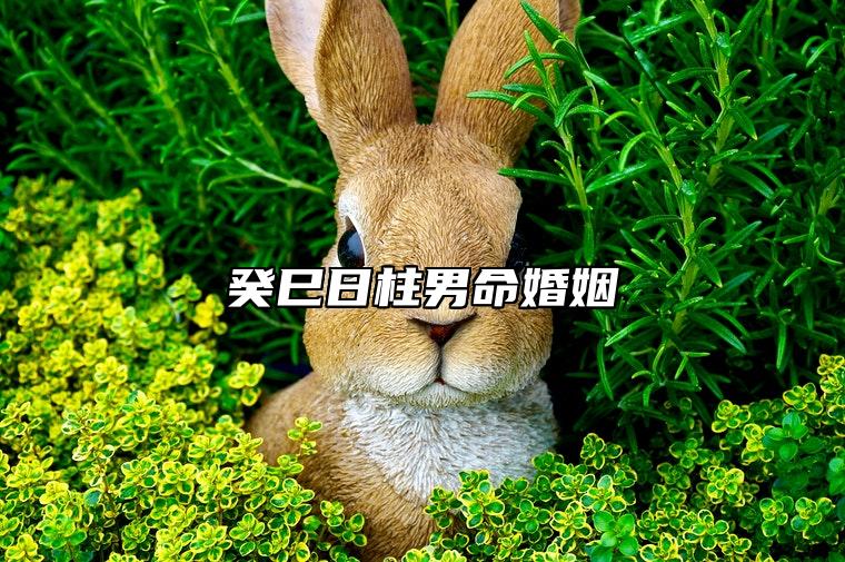 癸巳日柱男命婚姻 癸巳日柱男命必离婚