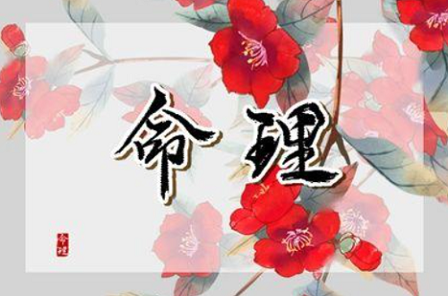 五两一钱女命算几等命