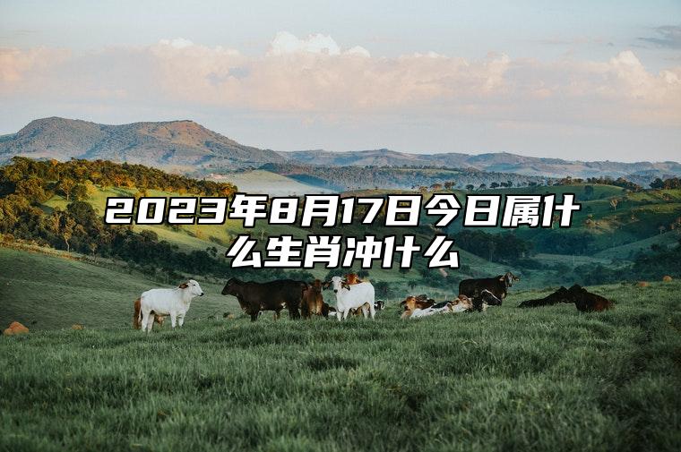 2023年8月17日今日属什么生肖冲什么 相刑 相合
