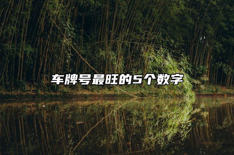 车牌号最旺的5个数字 车牌号码如何挑选磁场