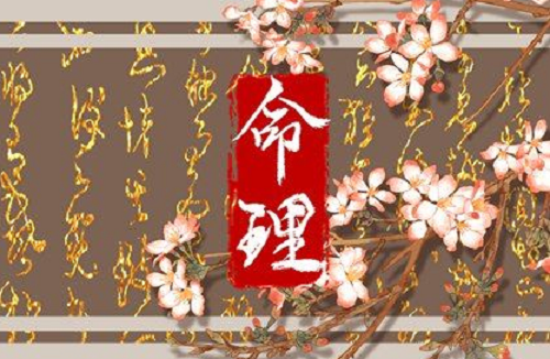 剑锋金命的女人