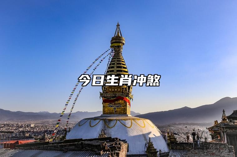今日生肖冲煞 2023年8月23日属相相冲一览 相刑 相合