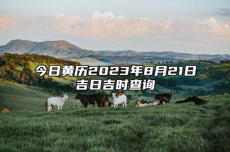 今日黄历2023年8月21日吉日吉时查询,老黄历宜忌