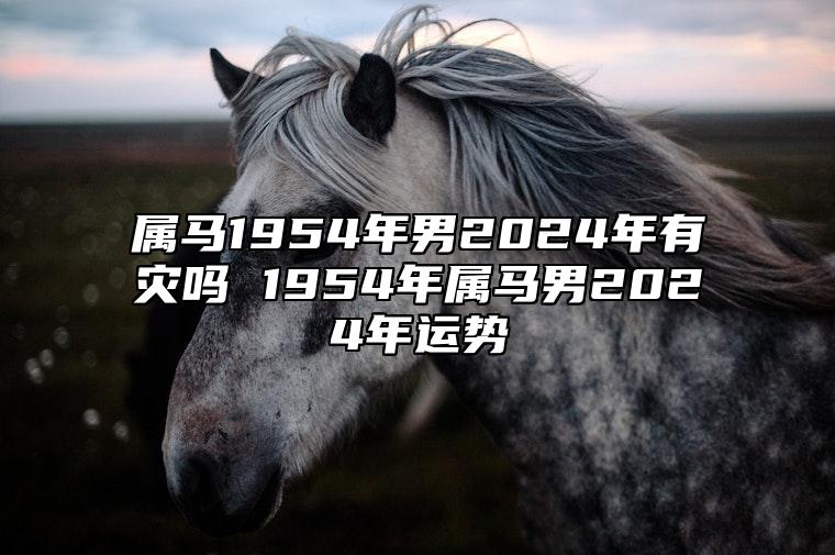 属马1954年男2024年有灾吗 1954年属马男2024年运势 1954年男马在2021年运势