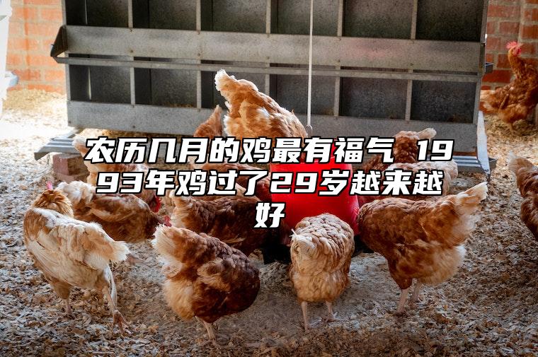 农历几月的鸡最有福气 1993年鸡过了29岁越来越好 