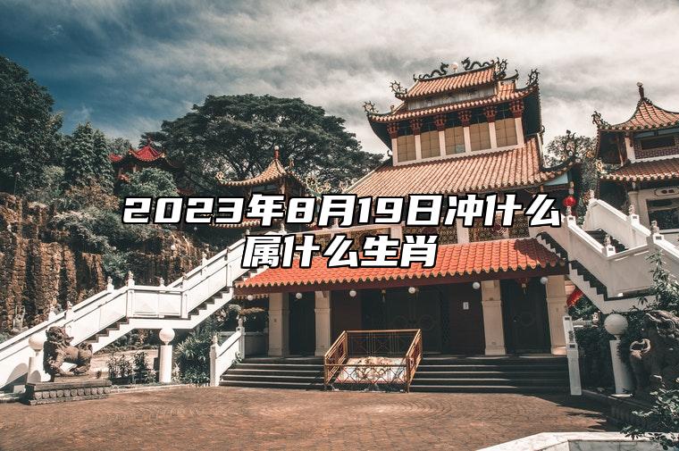 2023年8月19日冲什么属什么生肖 今日相合 相刑