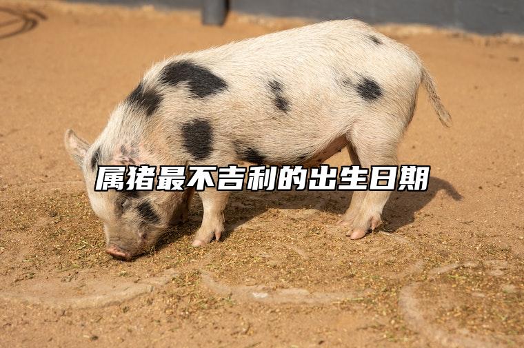 属猪最不吉利的出生日期 属猪最不吉利的出生日期是哪一天