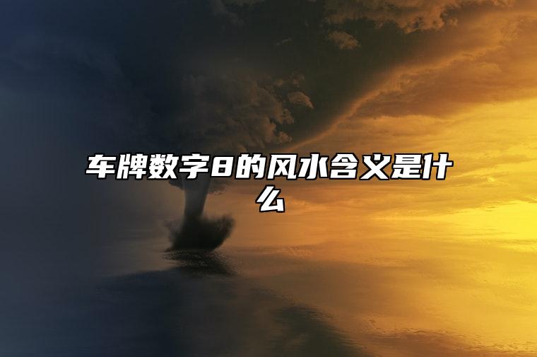 车牌数字8的风水含义是什么 车牌号码选择技巧