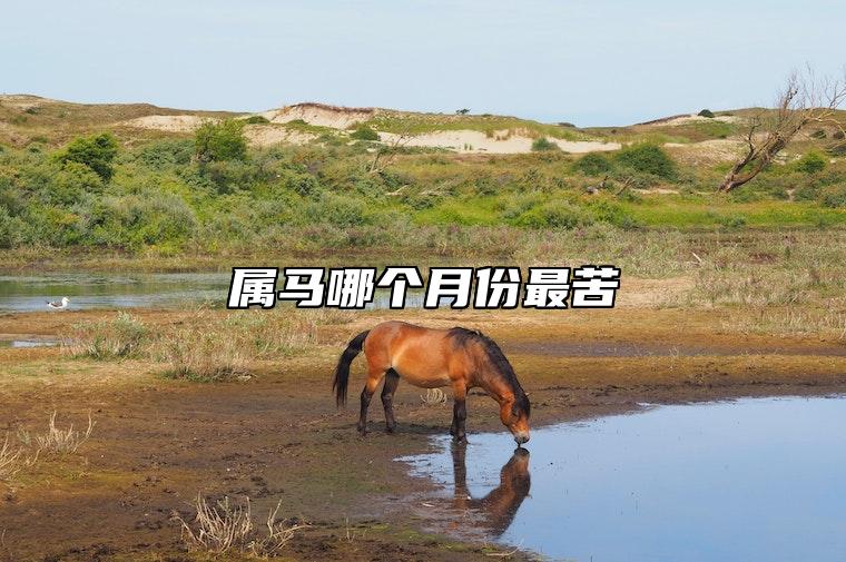 属马哪个月份最苦 属马命大富大贵的三大出生日