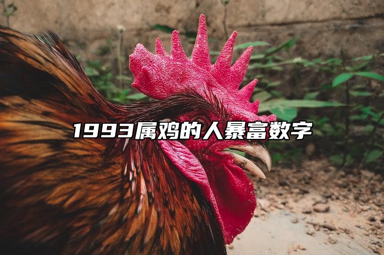 1993属鸡的人暴富数字 属鸡人永远最旺的数字