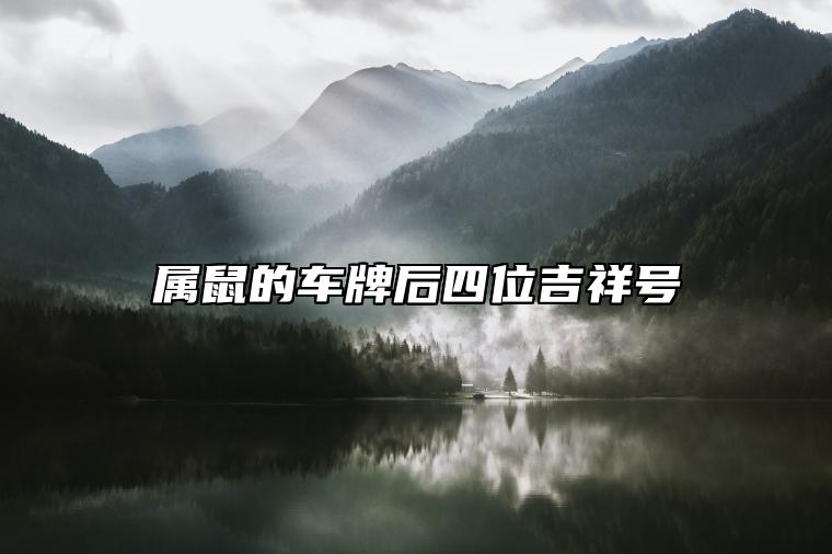属鼠的车牌后四位吉祥号 车牌号码选择原则