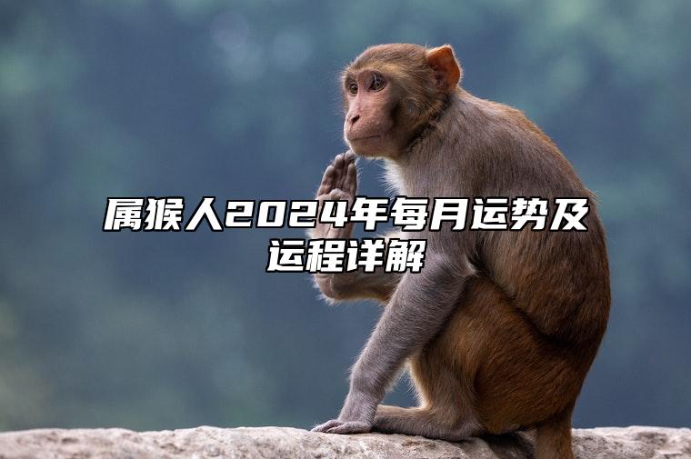 属猴人2024年每月运势及运程详解 猴人遇龙年2024运势如何