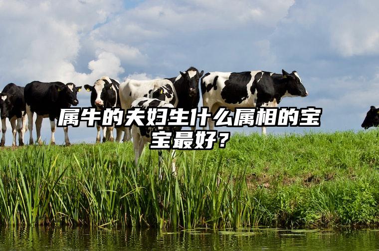 属牛的夫妇生什么属相的宝宝最好？ 属牛夫妻生什么属相宝宝最好