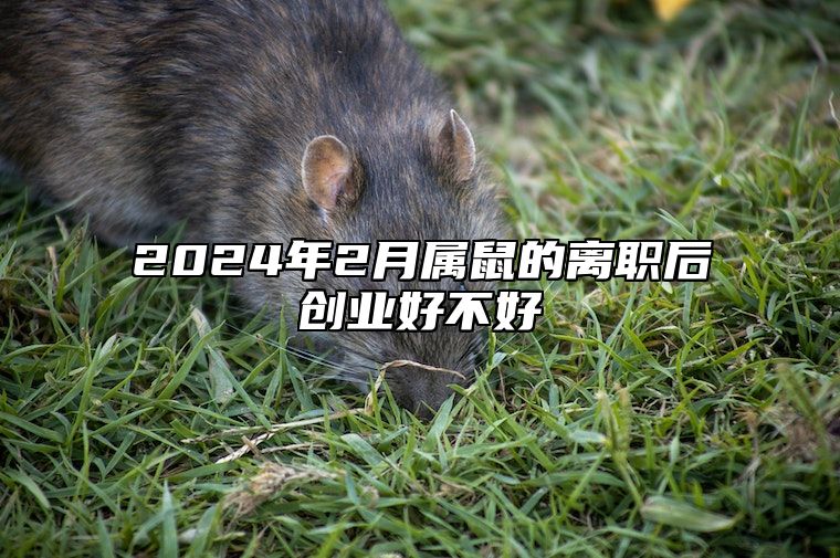 2024年2月属鼠的离职后创业好不好 2024年属鼠的财运和运气
