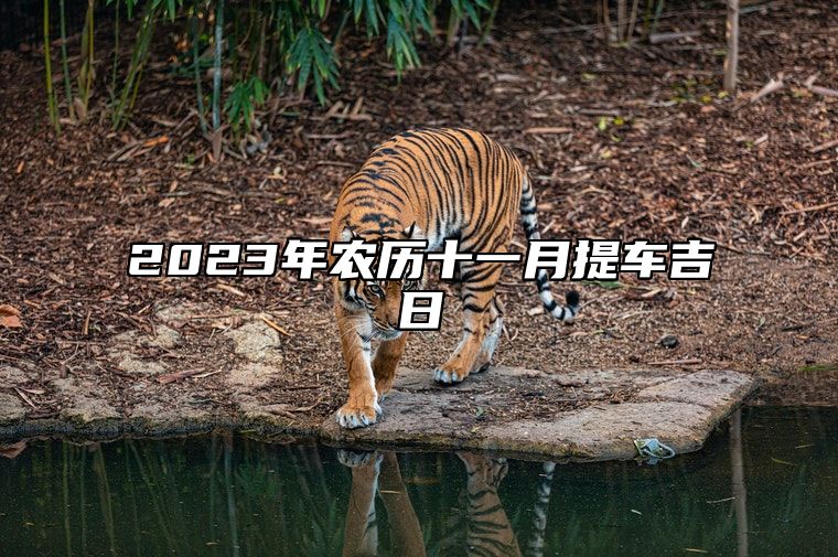 2023年农历十一月提车吉日 买车吉利日子
