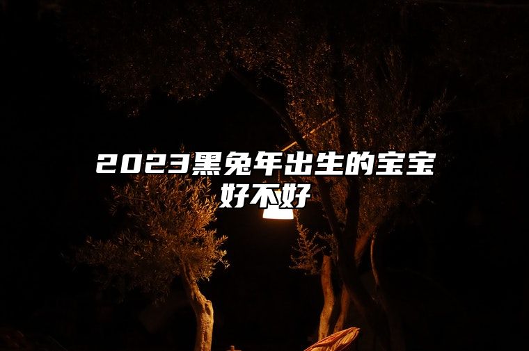 2023黑兔年出生的宝宝好不好 2023黑兔年出生的宝宝好不好