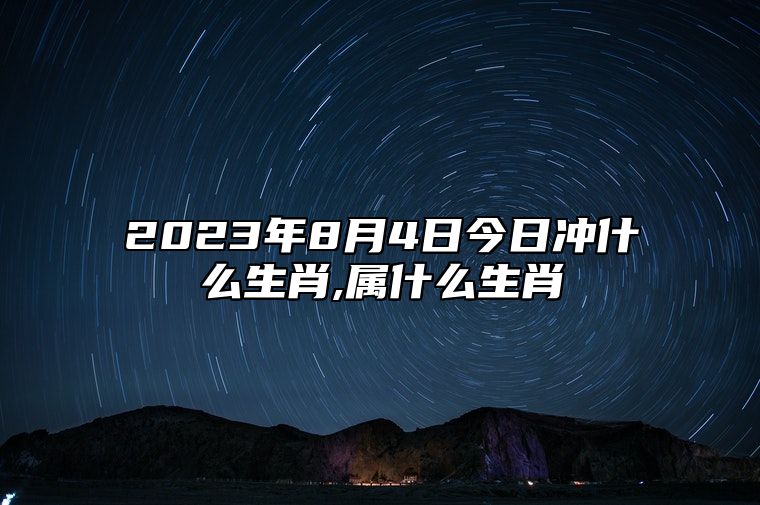 2023年8月4日今日冲什么生肖,属什么生肖 相刑 相合