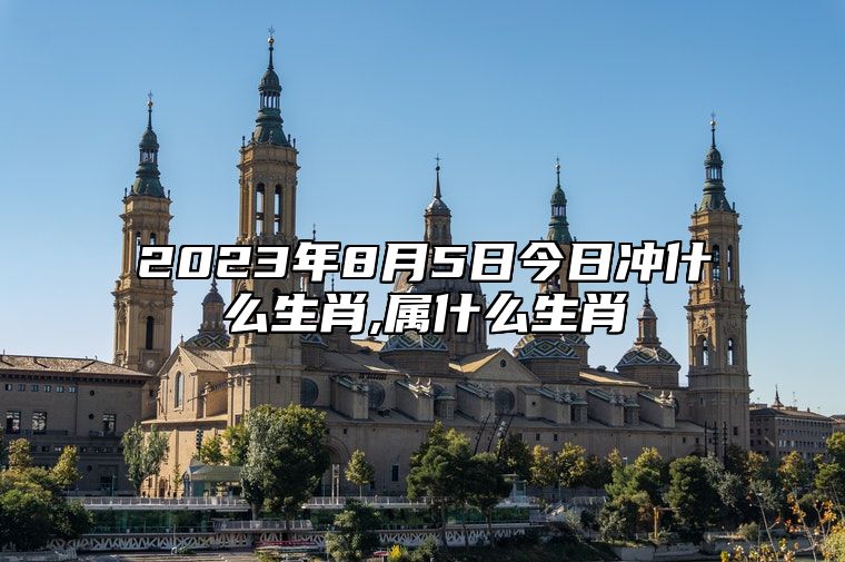 2023年8月5日今日冲什么生肖,属什么生肖 相刑 相合