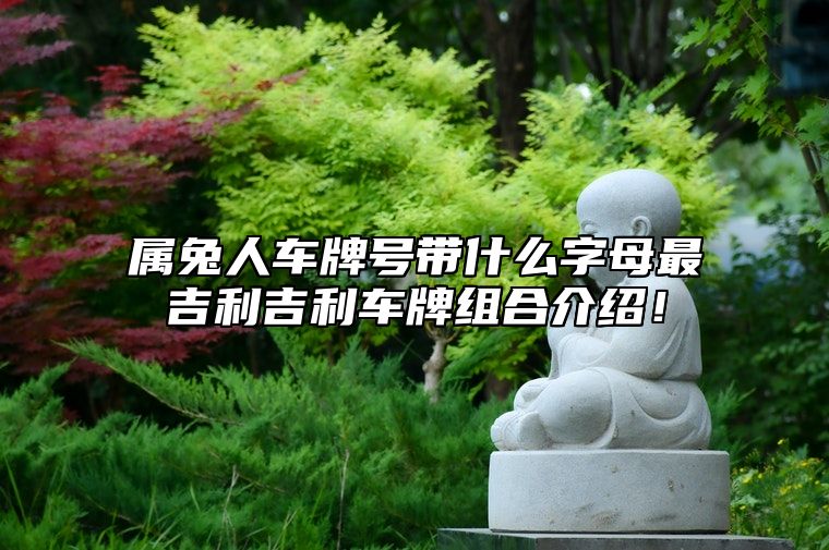 属兔人车牌号带什么字母最吉利？吉利车牌组合介绍！