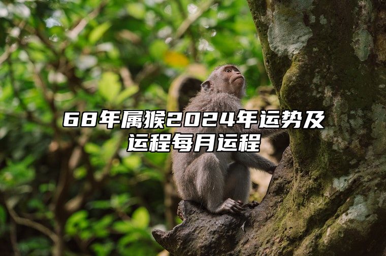 68年属猴2024年运势及运程每月运程 68年属猴2024年运势及运程每月运程 星座屋