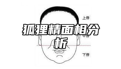 狐狸精面相分析 狐狸精的脸型