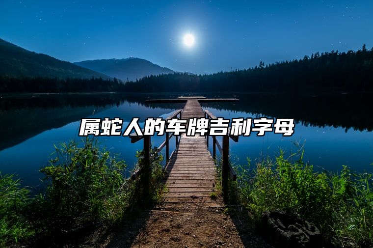 属蛇人的车牌吉利字母 属蛇选最佳车牌号