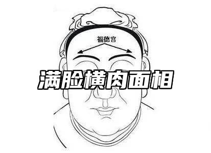 满脸横肉面相 满脸横肉是什么意思