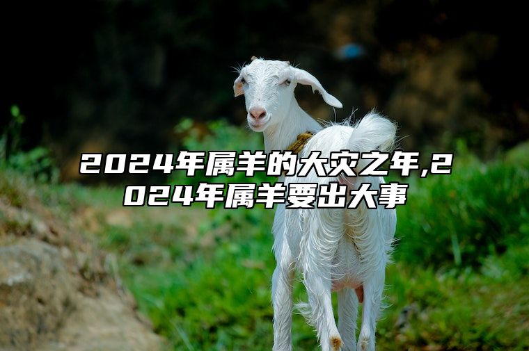 2024年属羊的大灾之年,2024年属羊要出大事 2024年对属羊的人好不好