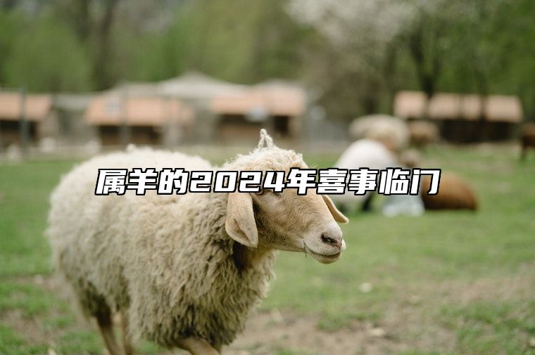 属羊的2024年喜事临门 属羊的在2024年的全年命运如何