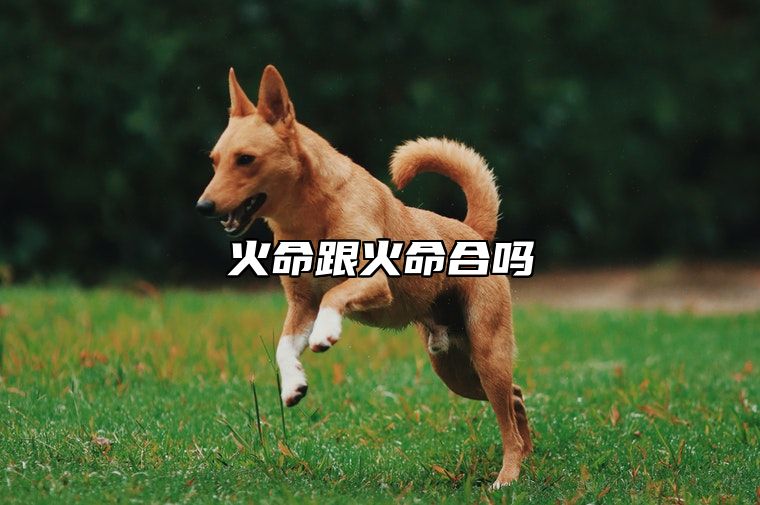 火命跟火命合吗 从纳音五行的角度看火命人的匹配度