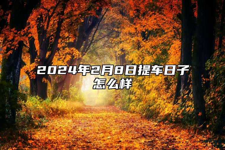 2024年2月8日提车日子怎么样 好日子查询