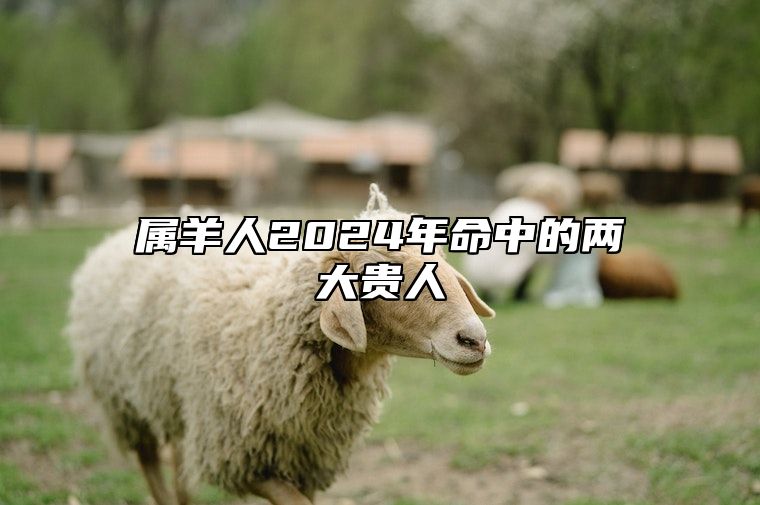 属羊人2024年命中的两大贵人 属羊的在2024年的全年命运如何