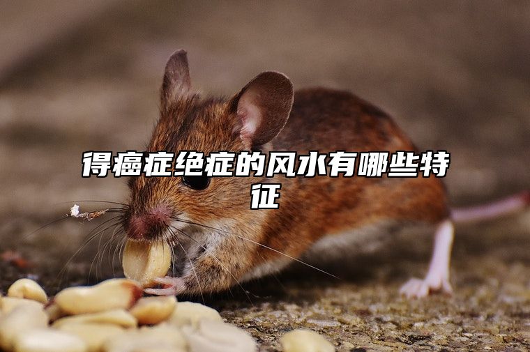 得癌症绝症的风水有哪些特征？