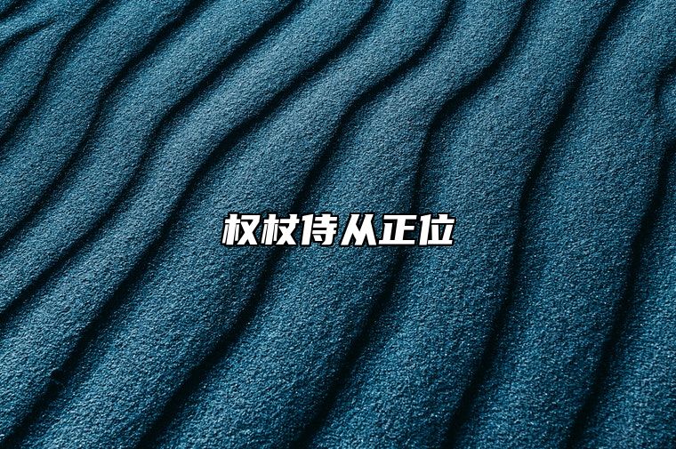 权杖侍从正位 塔罗牌权杖侍从正位