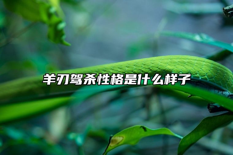 羊刃驾杀性格是什么样子 羊刃驾杀靠什么发财