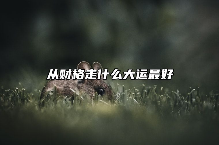 从财格走什么大运最好？