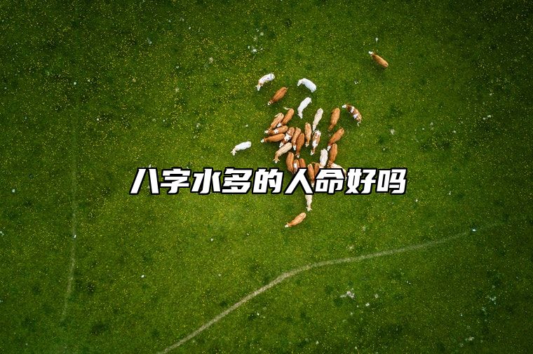 八字水多的人命好吗？