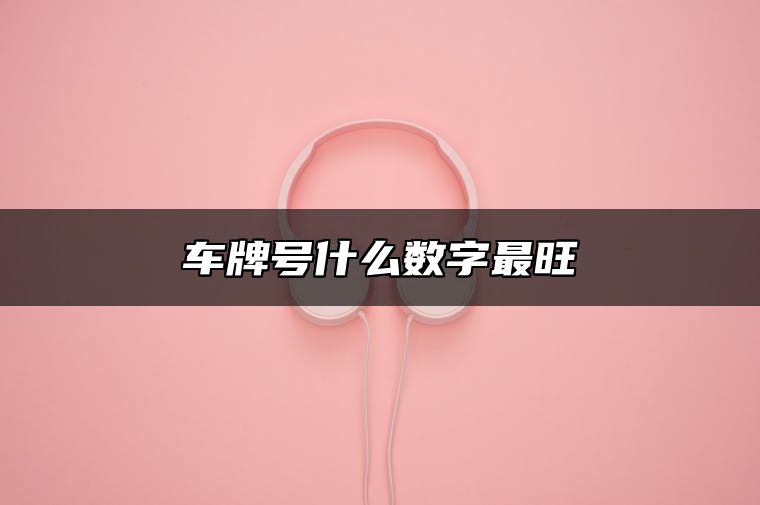 车牌号什么数字最旺 车牌号码旺财数组