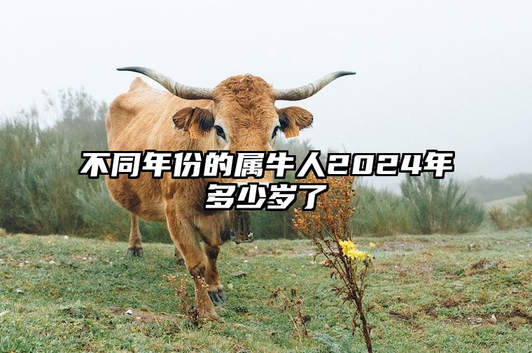 不同年份的属牛人2024年多少岁了