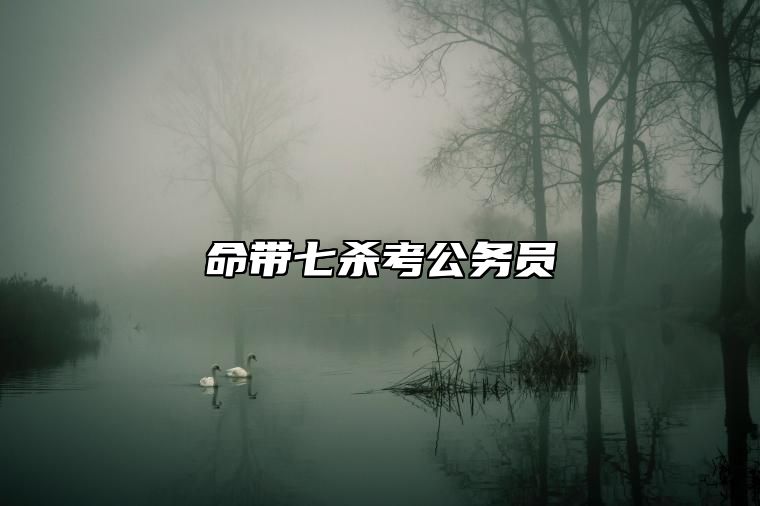 命带七杀考公务员 七杀适合什么工作
